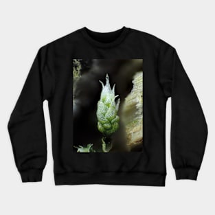 Moss under the microscope Crewneck Sweatshirt